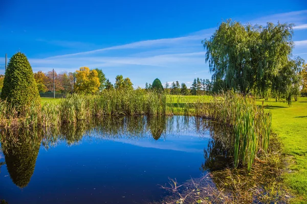 Campo de grama verde com árvores e lago — Fotografia de Stock