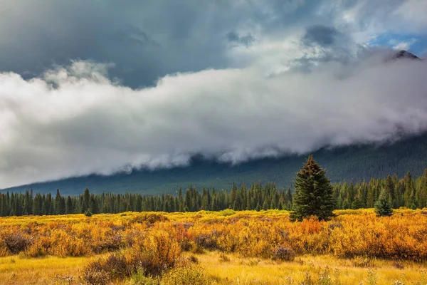 Bosque y montañas nubladas — Foto de Stock