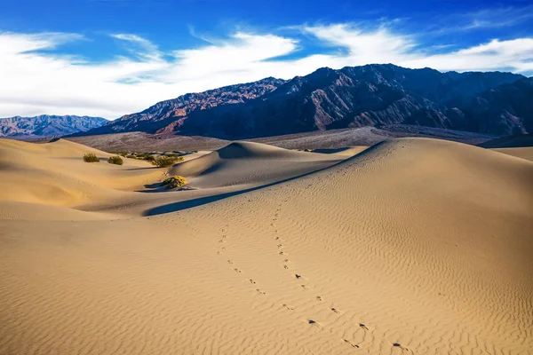 Sandy waves in Death Valley — Stock Photo, Image