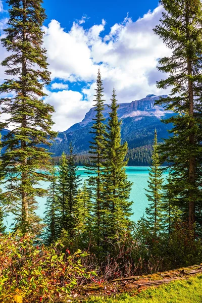 Yoho Ulusal Parkı 'ndaki Emerald Gölü — Stok fotoğraf