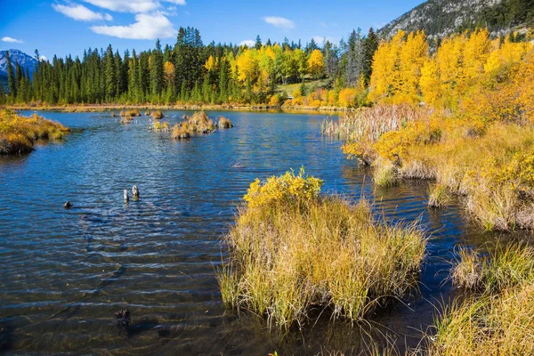 Vermilion jezero v Rocky Mountains — Stock fotografie