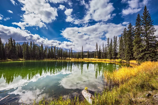 Kleiner See und gelbe Büsche — Stockfoto