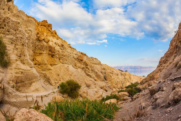 Exit from gorge to Dead Sea — Stock Photo, Image