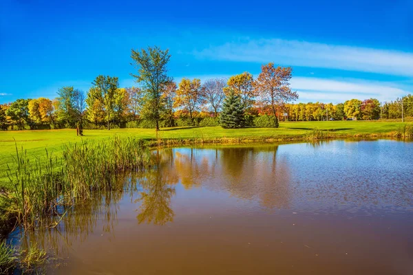 Champ d'herbe verte avec arbres et lac — Photo