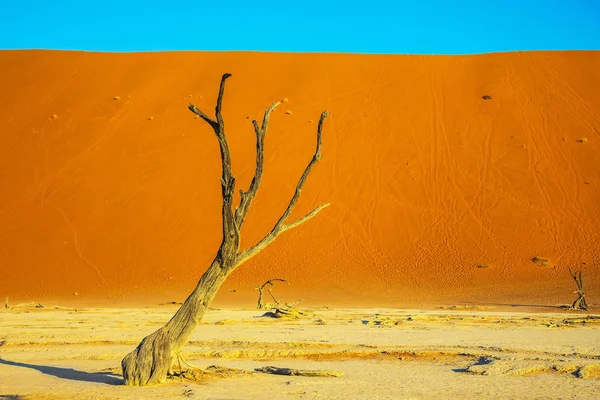 Fondo del lago Deadvlei essiccato — Foto Stock