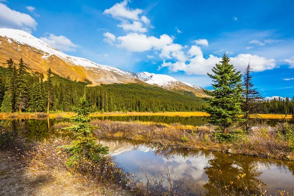 Sumpiga dalen i klippiga bergen i Kanada — Stockfoto