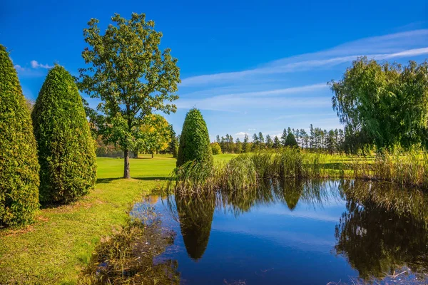 Yeşil çim alan ağaçlar ve göl — Stok fotoğraf
