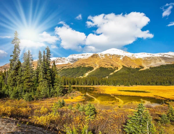 Sumpiga dalen i klippiga bergen i Kanada — Stockfoto