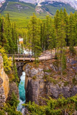 Sanvapta Falls Jasper Milli Parkı'nda