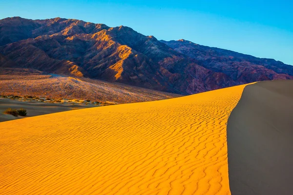 Paesaggio con Dune del deserto — Foto Stock