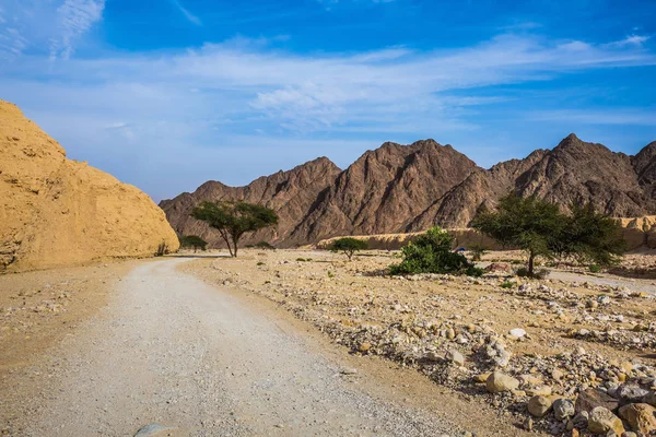 Route dans le désert près des montagnes — Photo