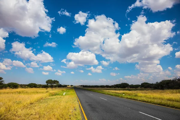 Herbe jaune et autoroute en Namibie — Photo