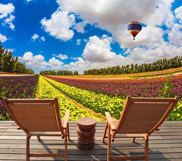 Campo de flores coloridas — Foto de Stock