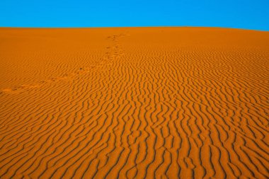 Çöl Dunes ile manzara