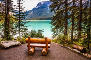  Yoho Ulusal Parkı 'ndaki Emerald Gölü