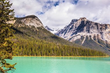  Yoho Ulusal Parkı 'ndaki Emerald Gölü