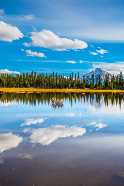 Poco profondo paesaggio lacustre — Foto Stock