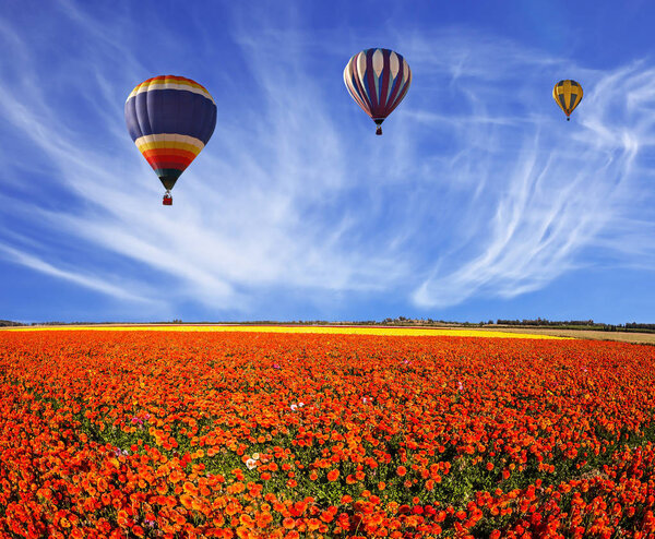 field of bright flowers and air balloons