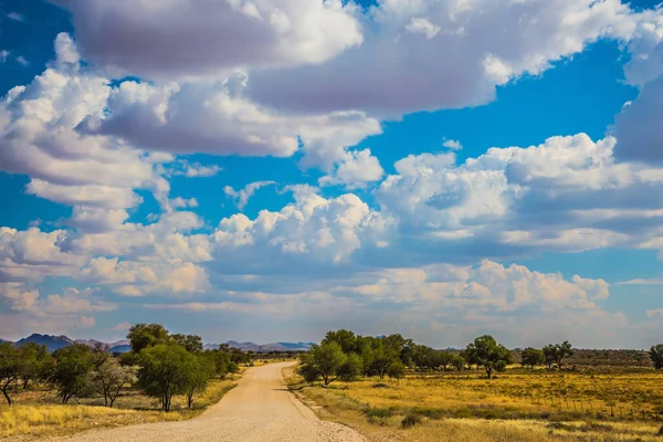 Landschaft mit Straße in afrikanischer Steppe — Stockfoto