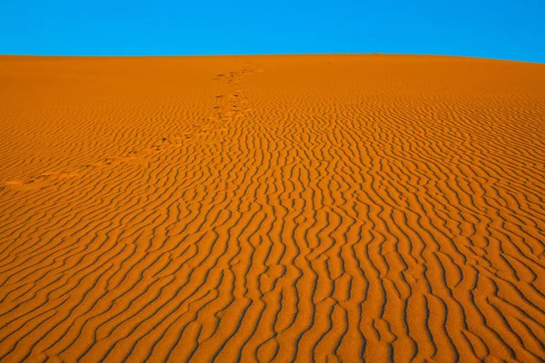 Krajobraz z pustynny wydmy — Zdjęcie stockowe