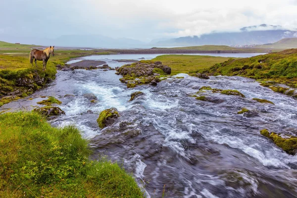 Des ruisseaux d'eau dans la vallée et à cheval — Photo