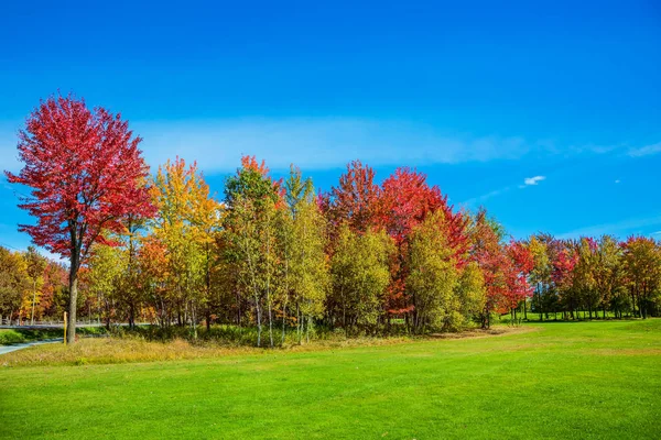 Autumn landscape with colorful trees — Stock Photo, Image