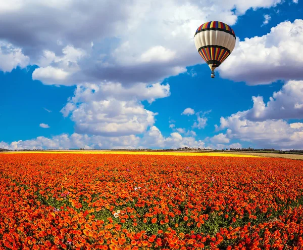 Field of bright flowers and air balloon — Stock Photo, Image