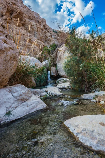 Ravinen med vattenfall och creek — Stockfoto