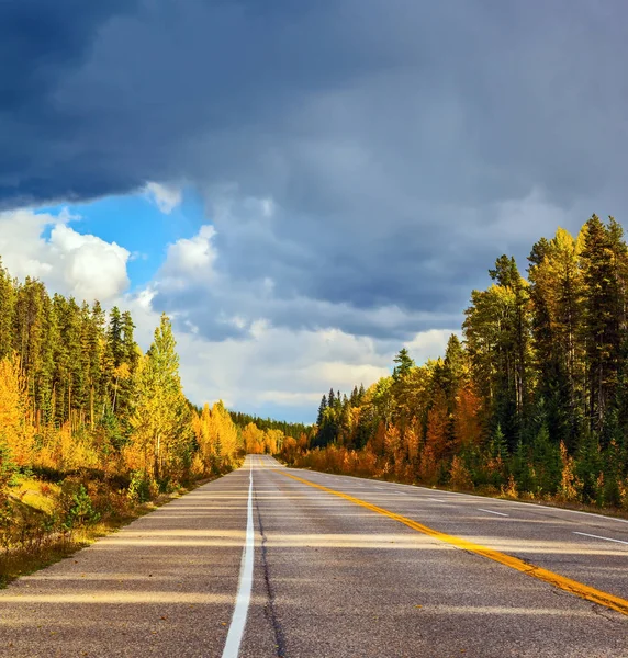 Estrada e floresta de outono — Fotografia de Stock