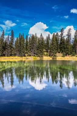 küçük göl ormanda yansıman