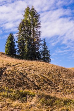 sonbaharda kurumuş ot ile Hill