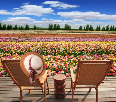 şezlonglar çiçekler önünde nehir üzerinde