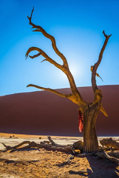  Kuru ağaç İpek eşarp ile dekore edilmiştir.