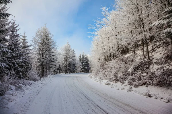 Carretera entre abetos cubiertos de nieve —  Fotos de Stock