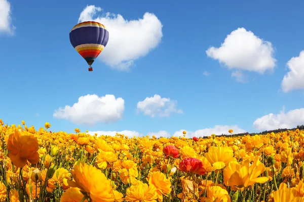 Balão enorme voa sobre o campo — Fotografia de Stock
