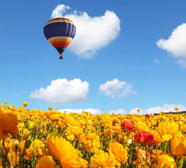 Enorma ballongen flyger över fältet — Stockfoto