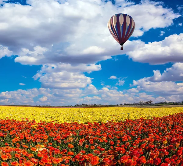 Huge balloon flies over field — Stock Photo, Image