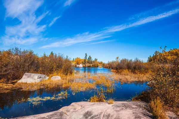 Hösten gräs återspeglas i Winnipeg River — Stockfoto