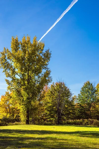 Golf kulübü güzel park ile çevrili — Stok fotoğraf