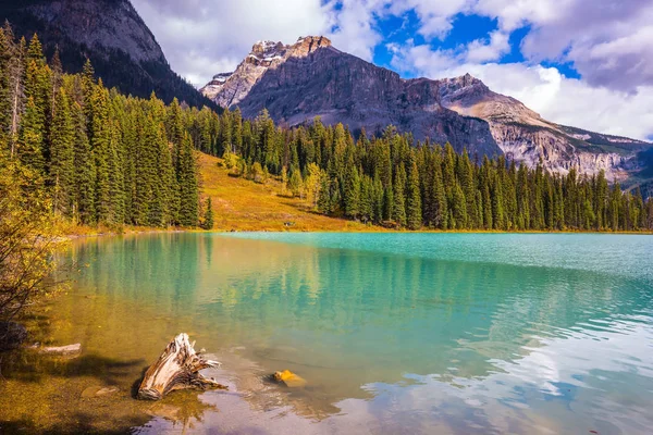 Lago verde rodeado de bosque de coníferas —  Fotos de Stock