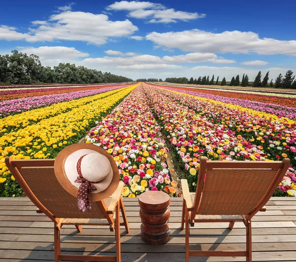 şezlonglar çiçekler önünde nehir üzerinde