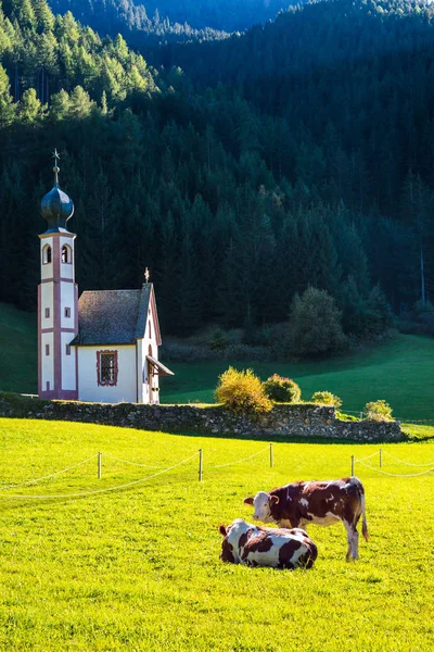 Kirke i grønne alpine enger – stockfoto