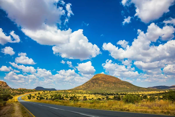 Asfalt yol Savannah sonbahar — Stok fotoğraf