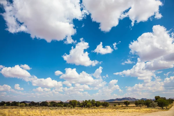 Strada sterrata nella steppa africana — Foto Stock