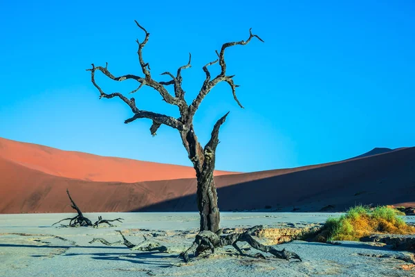 kurutulmuş göl alt