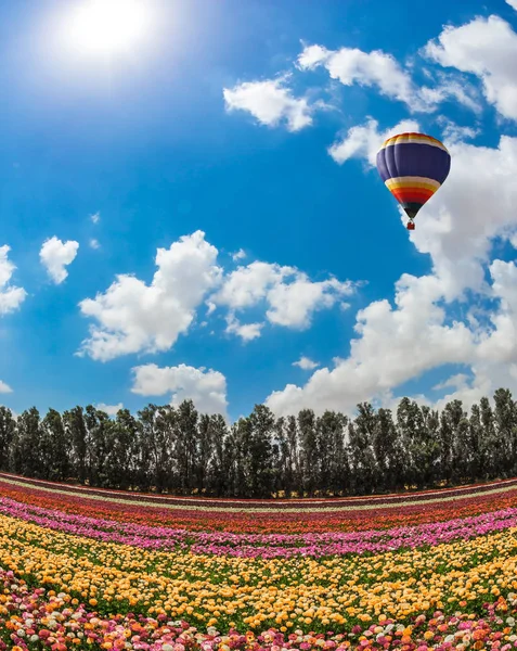 Grande balão brilhante no céu azul — Fotografia de Stock