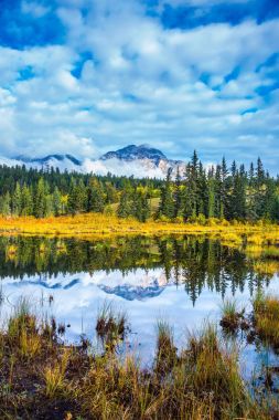 Jasper Park sıcak sonbahar