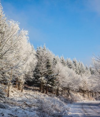 Güneş yeni yıl sabah