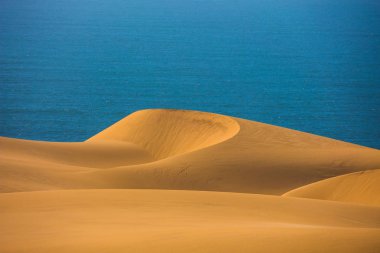 Atlantic coast Namibya, Güney Afrika