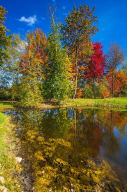 Güneşli bir gün Fransız Kanada'da parlayan